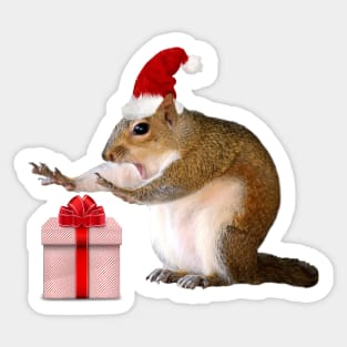 Xmas Squirrel Sticker